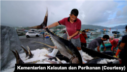 Nelayan mengawetkan hasil tangkapannya menggunakan es di sebuah pelabuhan. (Foto: Courtesy/Kementerian Kelautan dan Perikanan)
