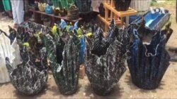 ዕጽዋ ዝፈጠሮ ሞያ፤ ጽባቐ ንትርኢት