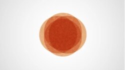 The Inside Story - USA Votes 2024 | 155 