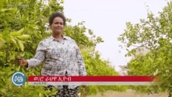 ራህዋ ኢዮብ -- ኣደ፡ መሳርሕቲን ሓብቲን