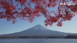 Як Японія змінила свою політику, щоб допомогти українцям? Відео