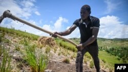 Wani manomi a Sokoto