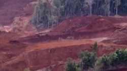 Lembaga Auriga Sebut Industri Nikel Indonesia Mengancam Hutan
