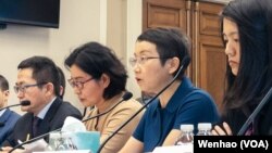 中国被捕入狱律师丁家喜的妻子罗胜春（右二）与失踪律师高智晟的妻子耿和（左二）在美国国会听证会上作证（2023年4月20日）