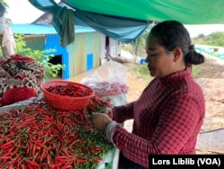 អ្នកស្រី សេង ស្រីណែត ស្នាក់នៅលើផ្លូវជាបណ្តោះអាសន្នដោយសារផ្ទះរបស់អ្នកស្រីត្រូវបាន​ជន់លិចដោយជំនន់ទឹកស្ទឹងព្រែកត្នោត ក្នុងសង្កាត់សាក់សំពៅ ខណ្ឌដង្កោ រាជធានី​ភ្នំពេញ កំពុង​ស៊ីឈ្នួលប្រលេះម្ទេសឱ្យគេ។ រូបនេះ ថតនៅថ្ងៃទី២៣ ខែតុលា ឆ្នាំ២០៣។ (លាស់ លីបលីប/វីអូអេ)