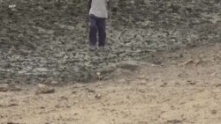 Zimbabwe : La sécheresse met 7,6 millions de personnes en situation d'insécurité alimentaire