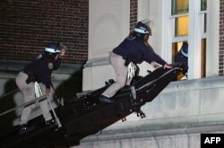 Pripadnici njujorške policije ulaze kroz prozor u zgadu Hamilton Hol u koju su se zabirakadirali demonstranti (Foto: AFP/Kena Betancur)