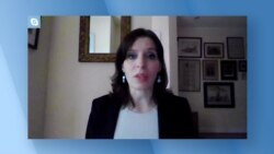 Швеція оголосила про виробництво шведських бойових машин в Україні. Відео