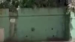 Kena Gelombang Panas, Hewan Berendam hingga Dipasangi AC di India