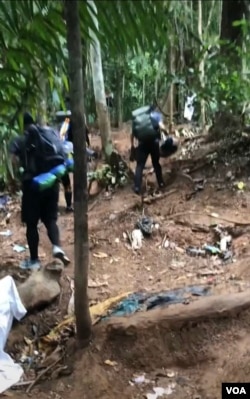 雨林1（拍摄：小白）