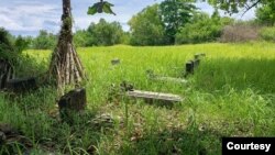 Lokasi makam di Tanjung Dehe Gila, Desa Juanga, Kecamatan Morotai Selatan, yang disebut sebagai makam tentara AS yang gugur dalam pertempuran perang dunia ke-2 di Pulau Morotai, 25 Maret 2023; (Foto: Dinas Pariwisata Pulau Morotai/ Kalbi Rasyid).