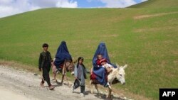 Perempuan Afghanistan berburka mengendarai keledai bersama anak-anak di jalan dekat desa Shah Mari di distrik Argo, provinsi Badakhshan, 1 Mei 2024. (OMER ABRAR / AFP)