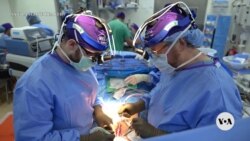 NYU Surgeon Seeks to Aid Global Organ Shortage with Animal Transplants