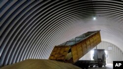FILE - A dump track unloads grain in a granary in the village of Zghurivka, Ukraine, on Aug. 9, 2022.