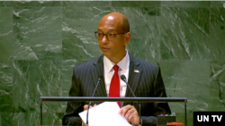 로버트 우드 유엔 주재 미국 부대사