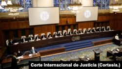 Afrika Selatan telah mengajukan tuntutan terhadap Israel ke Mahkamah Internasional di Den Haag (foto: ilustrasi). 