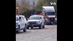 国会山迎来圣诞树 