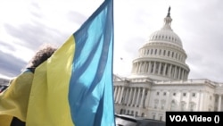Активісти виступають на підтримку України перед Конгресом США, Вашингтон, січень 2024 року.