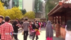 Lễ hội Tết Việt