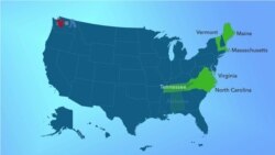 Super Tuesday, Jutaan Pemilih AS Tentukan Capres Partai