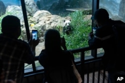 FILE - Visitors watch Giant panda Mei Xiang as he eats bamboo in his enclosure at the Smithsonian's National Zoo in Washington, Sept. 28, 2023.