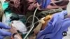 Ukrainian Combat Medics Perform Blood Transfusions on Battlefield