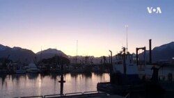 Nature | Valdez Harbor 