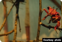 Kembang badak rekaan dalam cerita “A Bucket of Beetles” (courtesy Papermoon Puppet Theatre)