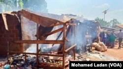 Hotunan Baya Baya: Hari a Kamaru