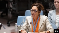 엘리자베스 살몬 유엔 북한인권특별보고관이 지난해 8월 안보리 북한 인권 회의에서 북한의 인권 상황에 대해 보고하고 있다.