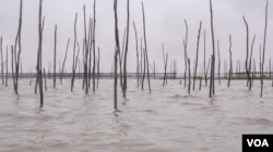 A fishing catch is set up in Tonle Sap lake, on May 03, 2022. (Khan Sokummono/VOA Khmer)
