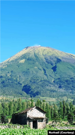 Gunung Sindoro di Jawa Tengah merupakan salah satu pusat budidaya tembakau. (Foto: VOA/Nurhadi)