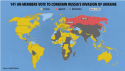 Of the UN's 193 member states, 181 voted. 141 countries supported the resolution condemning Russia and five were against it: Russia, Belarus, Syria, North Korea and Eritrea.