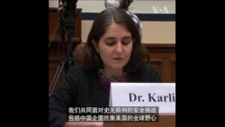 美国防部官员：巩固同盟对美战略优势至关重要