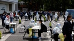 上海防疫放“软” 民众反抗让政府畏惧？进京路口重兵把守 北京“被上海”了？