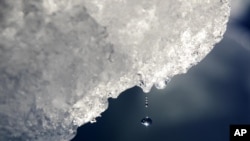 ARHIVA -Topljenje ledenog brega na Grenlandu (Foto: AP/David Goldman)