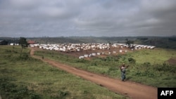 Le conflit meurtrier en Ituri entre Hema et Lendu a repris depuis fin 2017, provoquant la mort de milliers de civils et la fuite de plus d'un million et demi de personnes. 