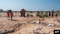 Perubahan iklim mengakibatkan kekeringan di Afrika seperti terlihat di Gode, Ethiopia (foto: dok).