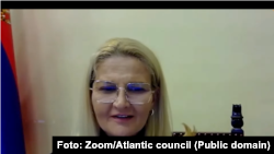 Arhiva - Tanja Miščević