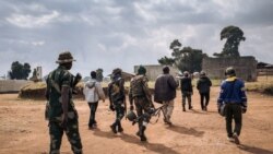 Sango ya Mokili Lelo: Bto koleka 55 bakufi ba bitumba ya basimba minduki na Djugu