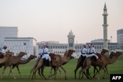 Pasukan penjaga kerajaan menunggangi unta, berpatroli di luar istana di Doha, 23 Oktober 2022, menjelang turnamen sepak bola Piala Dunia FIFA Qatar 2022. (Jewel SAMD/AFP)