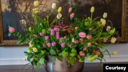 The Dutch embassy in Washington hosted first in-person Tulip Days celebration in March and April 2022 after a two-year pause due to the COVID pandemic. Photo courtesy of the Embassy of the Netherlands in the United States.