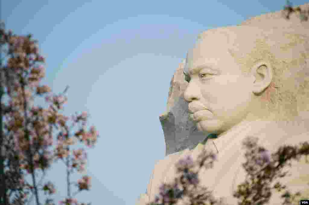 美国首都的潮汐湖畔有马丁·路德·金雕像(2018年4月13日)。2018年4月4号是美国民权运动领袖马丁·路德·金遇刺50周年纪念日。这位诺贝尔和平奖获得者在1968年遇刺身亡。纪念园位于两位美国前总统托马斯·杰斐逊和林肯的纪念堂之间。