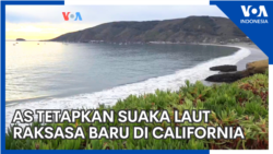 Amerika Tetapkan Suaka Laut Raksasa Baru di California
