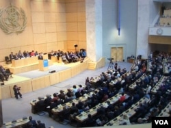 世界卫生大会会场（翻拍自世卫官网）