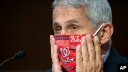 Dr. Anthony Fauci, pakar penyakit menular AS