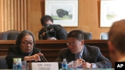 中国著名艾滋病维权人士高耀洁在美国国会作证