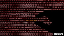 网络安全影响全球