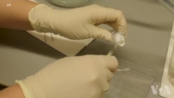 科学家靠“环境DNA”找寻濒危动物