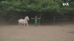 Ivana Todorović, rediteljka angažovanog kratkog filma: Teme pronalaze mene